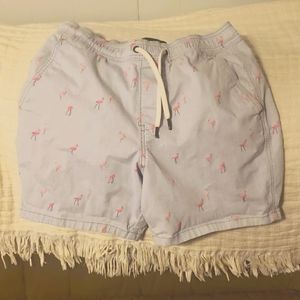 Mens Hollister Jogger Shorts size small
